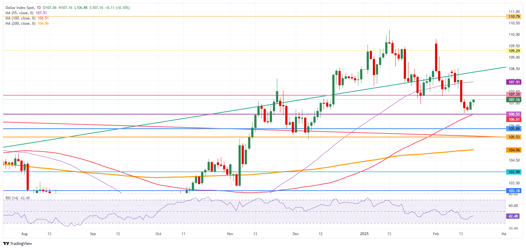 US dollar index: daily chart