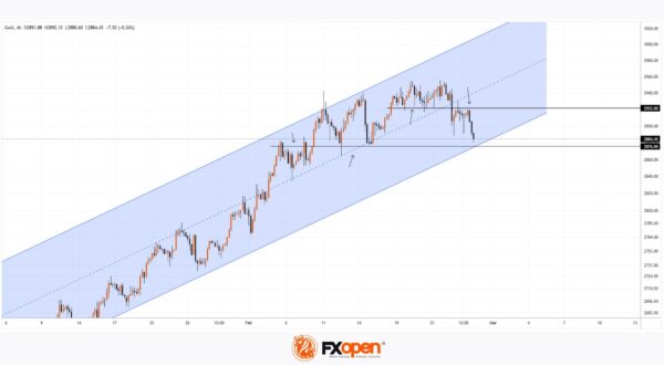 The price of gold falls towards the main support area