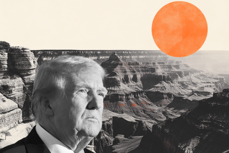 Trump 4 Large