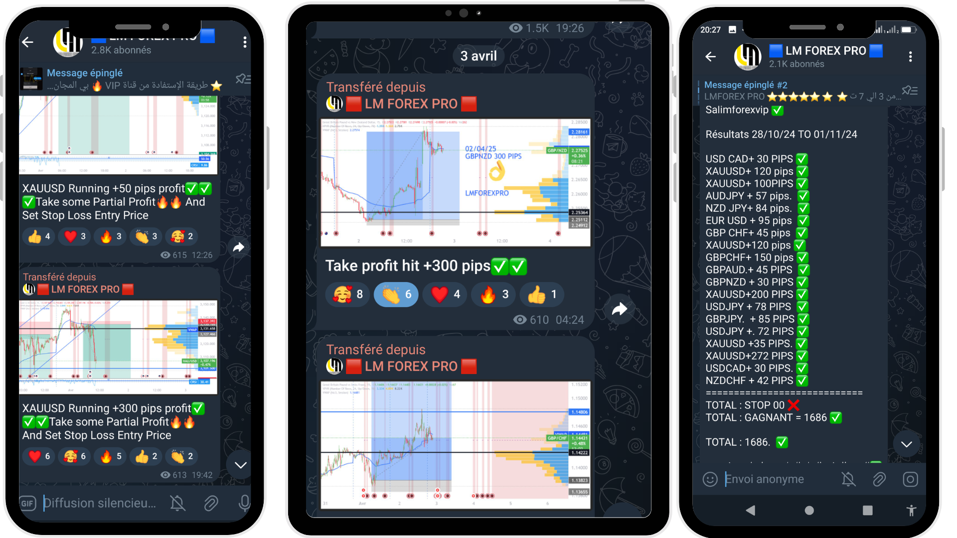 LM FOREX PRO